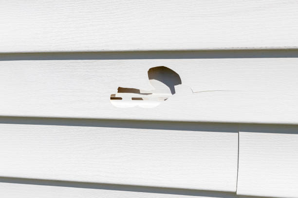  Shell Lake, WI Siding Installation Pros
