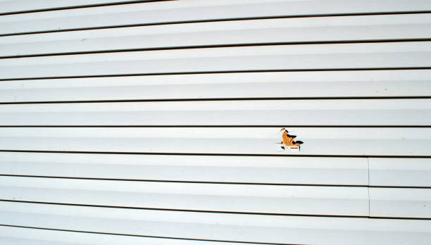 Best Custom Siding Design  in Shell Lake, WI