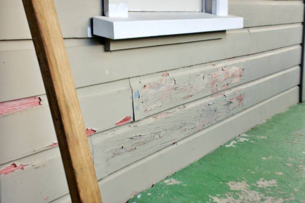 Affordable siding repair and maintenance services in Shell Lake, WI