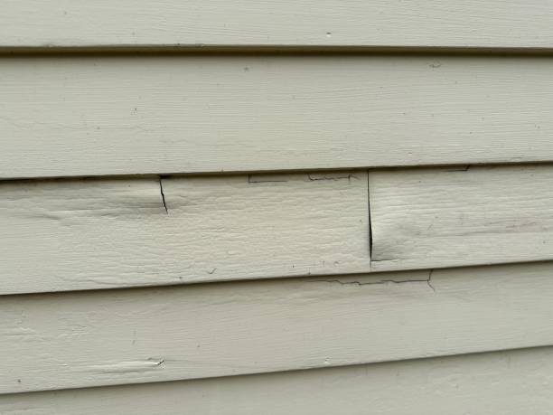 Best Fascia and Soffit Installation  in Shell Lake, WI